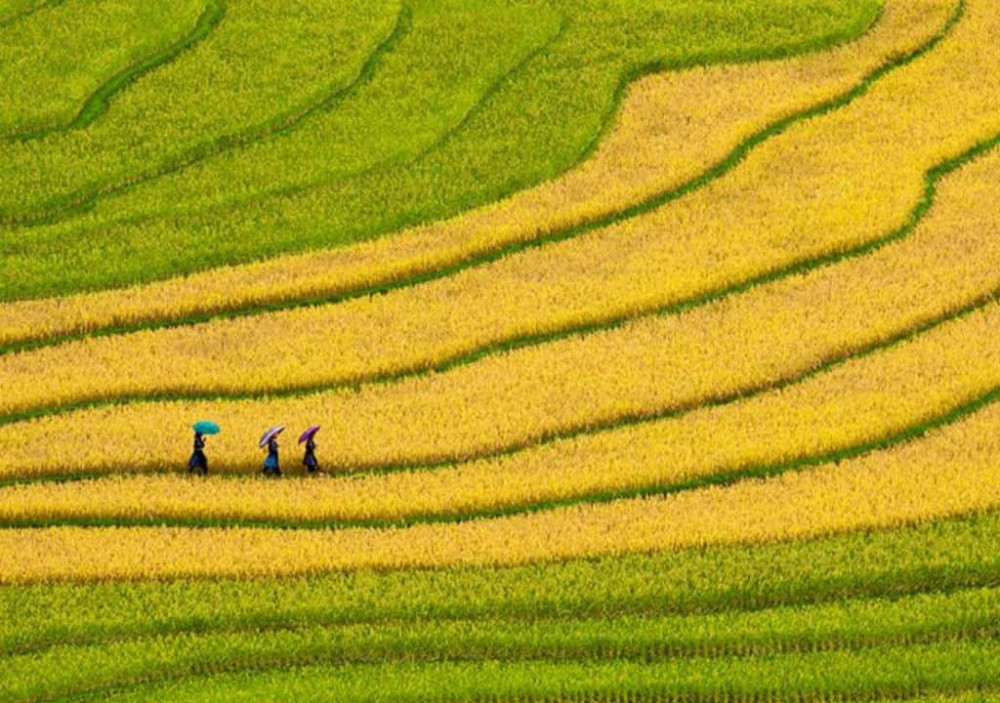 Sapa in Autumn